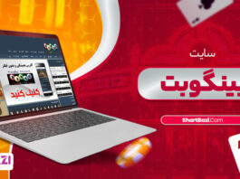بینگو بت