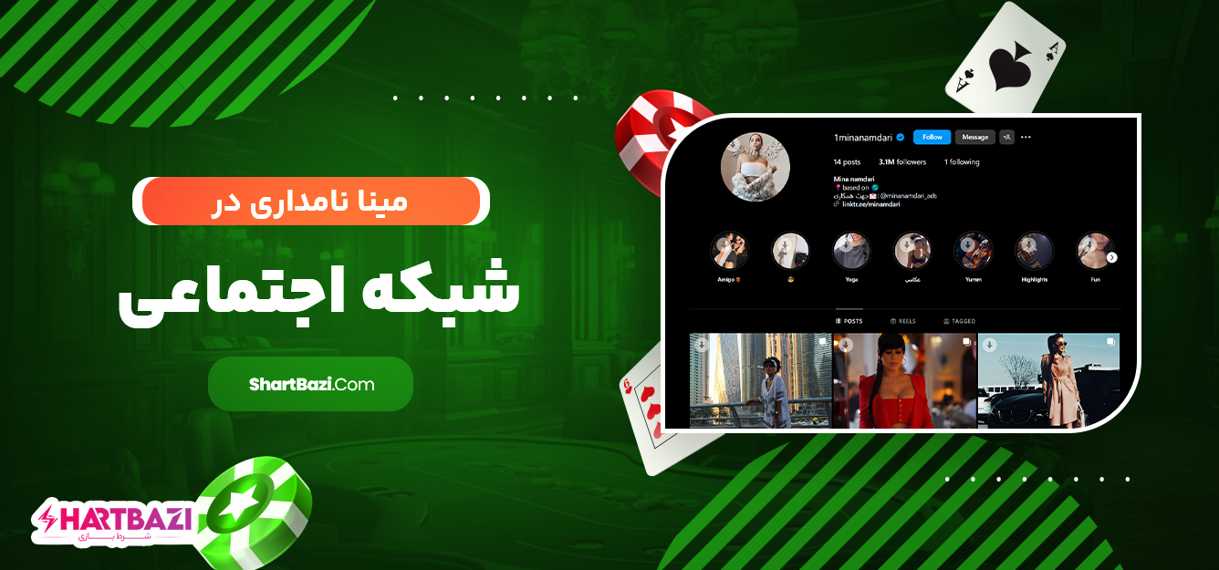 مینا نامداری در شبکه اجتماعی
