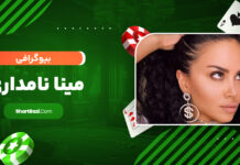 بیوگرافی مینا نامداری